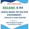 IGNOU BANC 101 Solved Assignment