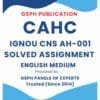 IGNOU CNS AH-001 Solved Assignment